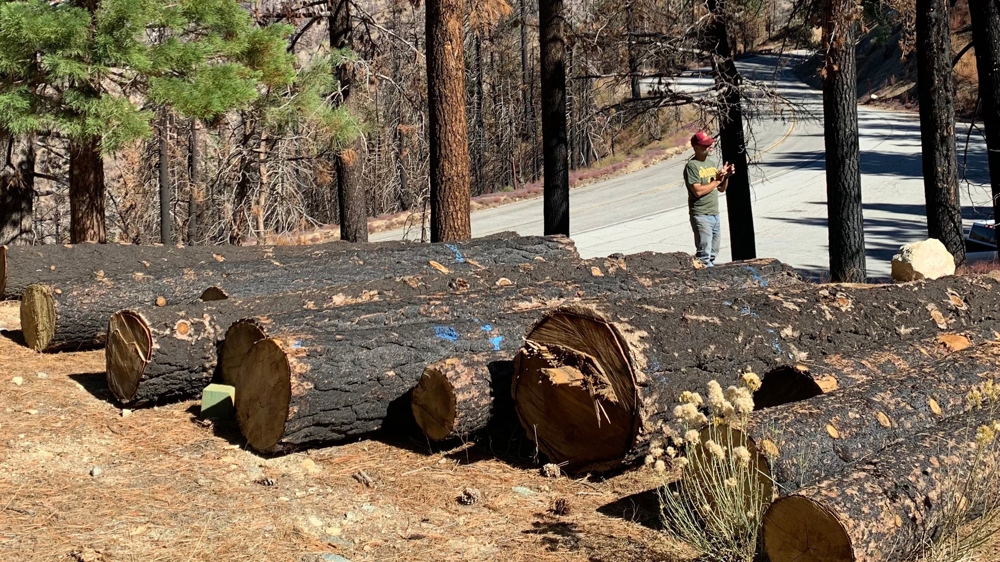 Sarah Watlington Spotlights Community Builders Program in Fine Woodworking Magazine